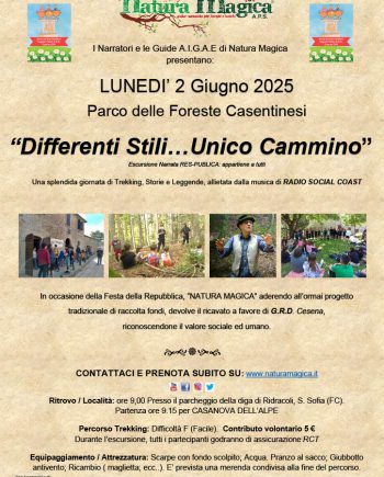 2 giugno " Differenti Stili, Unico Cammino" (Copy) (Copia) (Copia)