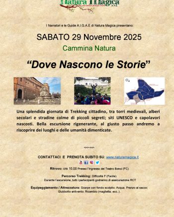 29 Novembre " Dove Nascono le Storie"