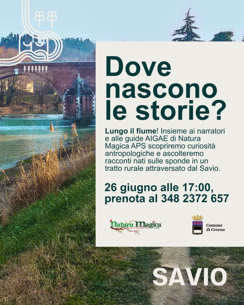 26 Giugno " Dove Nascono le Storie"